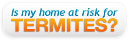 Termites! Is my home at risk?